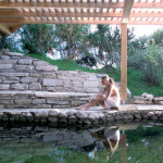 Ebners Waldhof am See: Familiäre Gastlichkeit