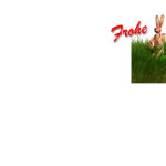 hase2