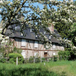 Normandie: Heimat von Cidre und Camembert Foto: Nicolas Dieppedalle, fotolia.de