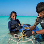 Engagement für die Umwelt