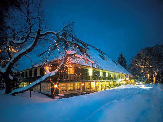 Parkhotel Adler Hochschwarzwald