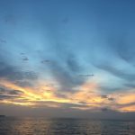 img-20161129-wa0002