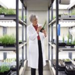 professor-dame-caroline-dean_39500556325_o