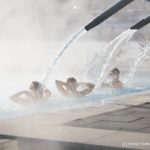 Schwanenhälse_Therme_075_L1020554bb_p