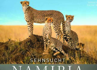 Sehnsucht Namibia