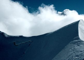 La Prairie: Schutz der Schweizer Natur