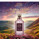 INSIDE beauty – Ausgabe 04/2019