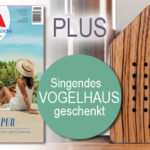 SPA inside lesen – und Aboprämie gratis