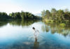 Best Alpine Wellness Hotels