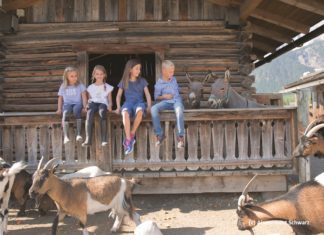 Familienurlaub: Mit dem Tier auf du und du