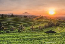 Bali – Im Land des Lächelns