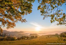 Sauerland – auf ins Land der 1000 Berge!