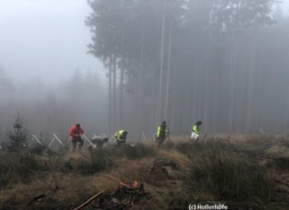 Hollerhöfe: Aufforstung während Lockdown