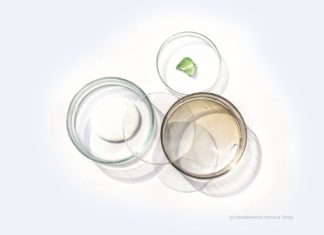 Wirkstoff Klassiker Kollagen