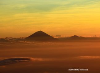 Aktuelle Einreisebestimmungen Indonesien