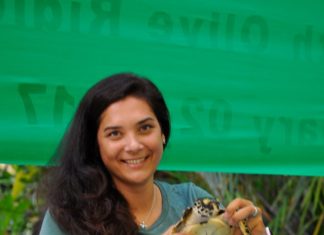 Coco Collection: Schildkrötenschutz auf den Malediven