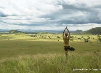 DIY Renewal Treatment aus Kenia