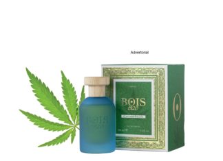 Bois 1920 – Cannabis mit maritimer Aura