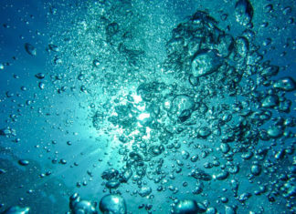 „Thalasso trifft den Nerv der Zeit“ Die Kraft aus dem Meer: Thalasso