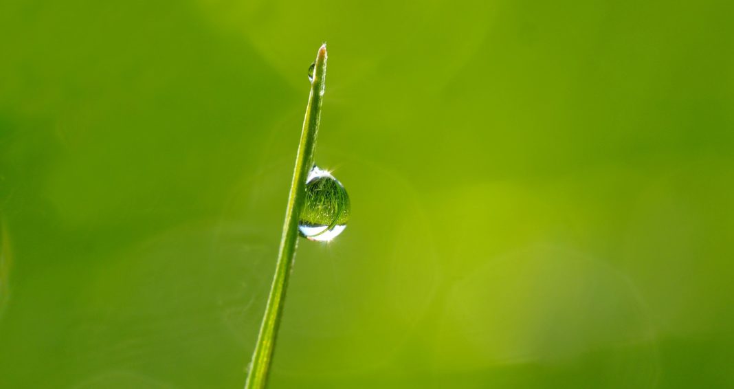 Foto: kie-ker/Pixabay