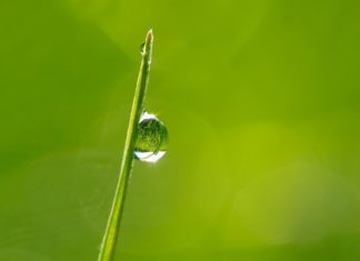 Clean Beauty: Reizend? Ja, aber … Foto: kie-ker/Pixabay