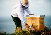 Guerlain macht sich für den Bienenschutz stark
