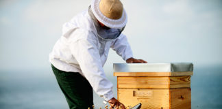 Guerlain macht sich für den Bienenschutz stark