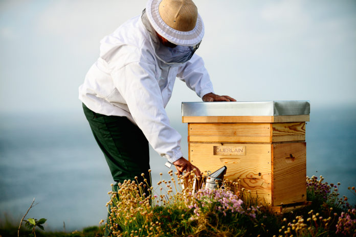 Guerlain macht sich für den Bienenschutz stark