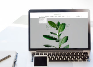 Frischekur für SPAworld www.myspaworld.net - Das Portal von SPAworld