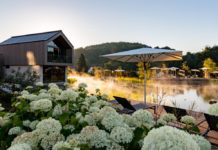 Wellnessoase in der Pfalz Pfalzblick Wald Spa Resort