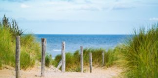 sanddünen-am-meer