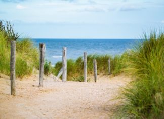 sanddünen-am-meer