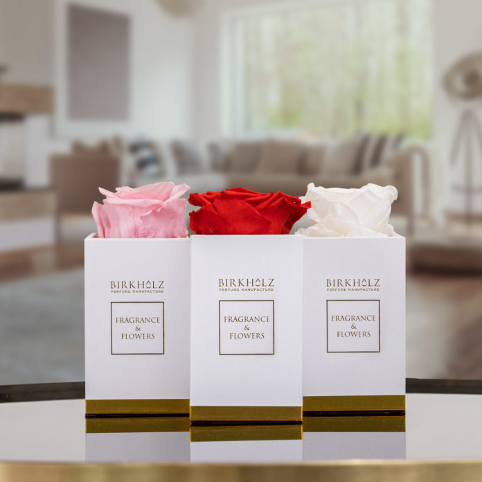 parfum-flacons-in-schachteln