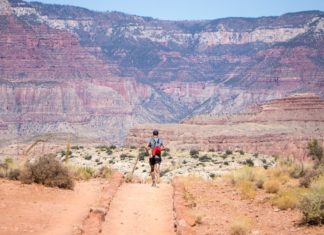 mann-joggt-im-grand-canyon