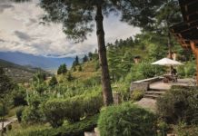 Eco-Hotels – So reisen Sie umweltfreundlich in den Urlaub landschaft-mit-nadelbäumen