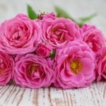 Rosenstrauß, Foto: Fotolia