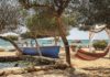 Blick auf Boot und Hängematte am Thalassines Beach, Agia Napa