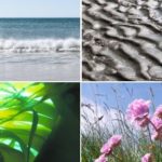 La-Mer-Collage-web-KAA2-1