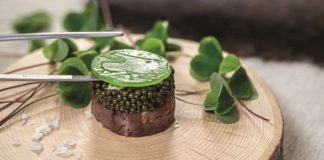 Eine Portion Hirsch- und Kaviar-Tartar angerichtet auf einer Baumscheibe, dekoriert mit Klee.
