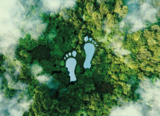 iStock-Petmal