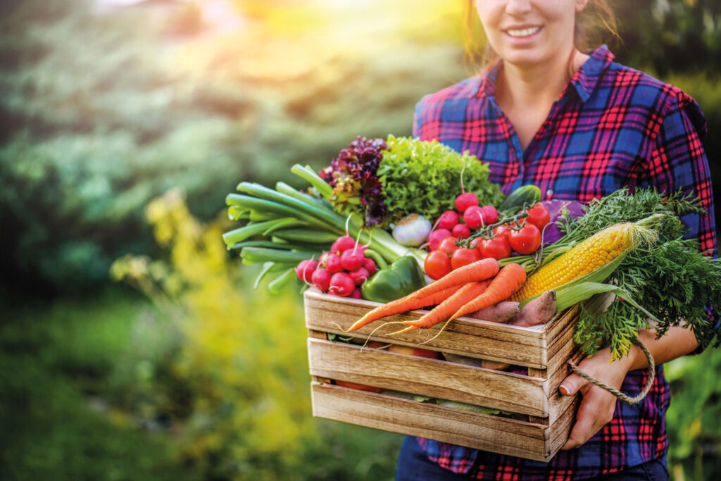 Kurze Wege bei der Beschaffung von Lebensmitteln am besten Farm to Table. Darauf stellen sich immer mehr Hotels ein (Foto: shutterstock_Krasula)