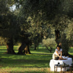 Anazoe Olive Grove Experience (1)