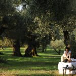 2023_Anazoe Olive Grove Experience (1)