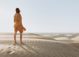 Die Insel der Aloe Vera