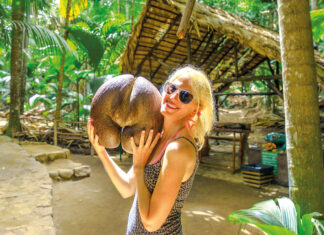 Seychellen: Dschungelfeeling auf Praslin