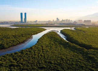 Die Emirate – Ras Al Khaimah