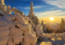 Winter im Bayerischen Wald