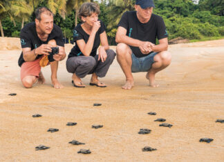 Oceanwell feiert zehn Jahre „Protect the Ocean“