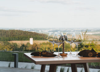 Wald.Weit Rheingau Hotel & Retreat: Weinberge, Wald und Wiesen