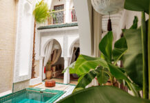 Erster Africa Wellness Congress